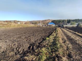 Купить Дом В Новокузнецке Село Ильинка