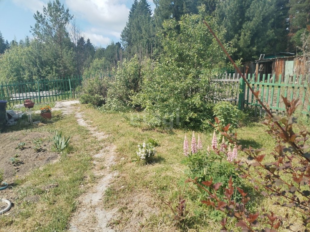 Купить участок в территории сдт Нива (д Старо-Лоскутово) в Томском районе в  Томской области — 7 объявлений о продаже участков на МирКвартир с ценами и  фото