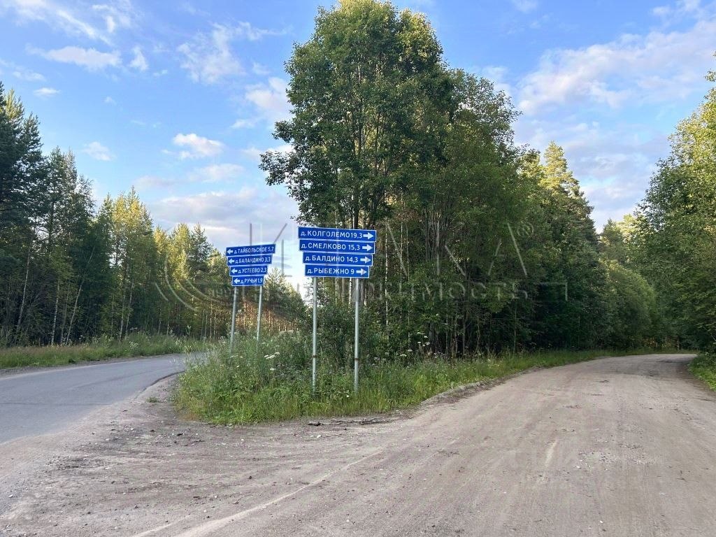 Купить большой дом в деревне Тайбольское в Волховском районе в  Ленинградской области — 5 объявлений о продаже домов на МирКвартир с ценами  и фото