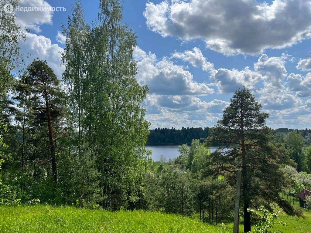 Купить участок в поселке Торковичи в Лужском районе в Ленинградской области  — 15 объявлений о продаже участков на МирКвартир с ценами и фото