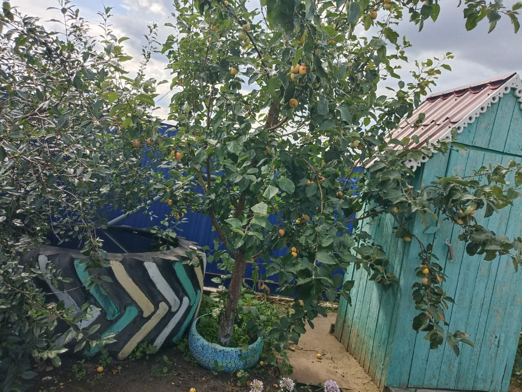 Купить дом в селе Каракульском в Октябрьском районе в Челябинской области —  19 объявлений о продаже загородных домов на МирКвартир с ценами и фото