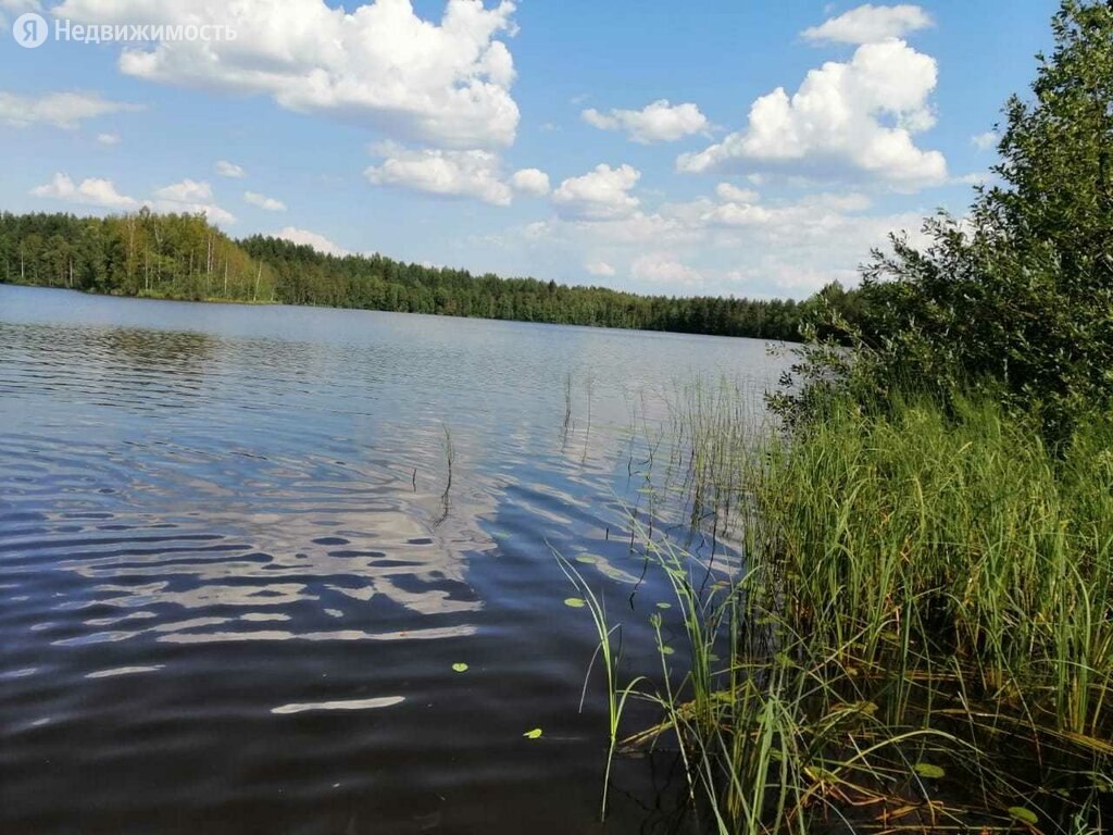 Купить дом в селе Зубово (Шольского с/с) в Белозерском районе в Вологодской  области — 5 объявлений о продаже загородных домов на МирКвартир с ценами и  фото