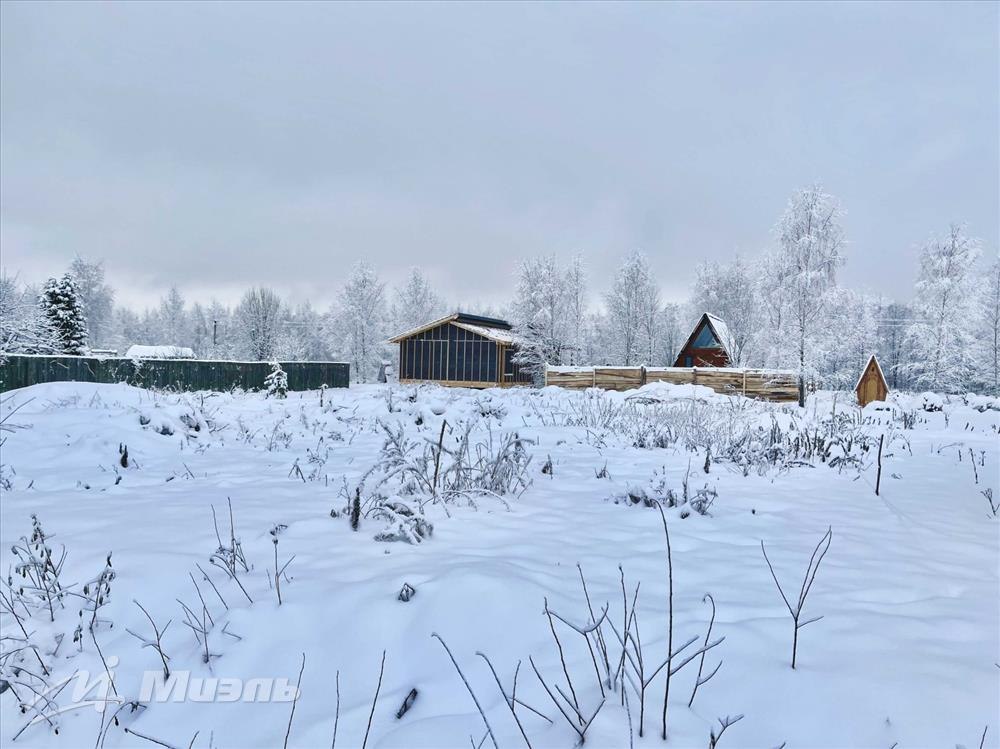 Фото Деревни Новинок