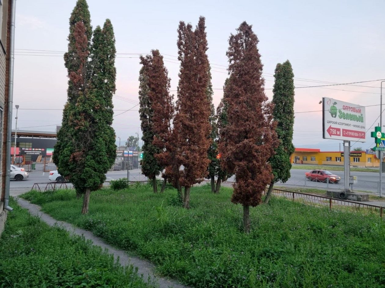 Снять коммерческую недвижимость на улице Ленина в селе Ногир в Пригородном  районе — 6 объявлений по аренде коммерческой недвижимости на МирКвартир с  ценами и фото