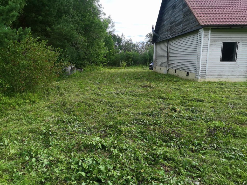 Купить дом в деревне Залесье в Солецком районе в Новгородской области — 5  объявлений о продаже загородных домов на МирКвартир с ценами и фото