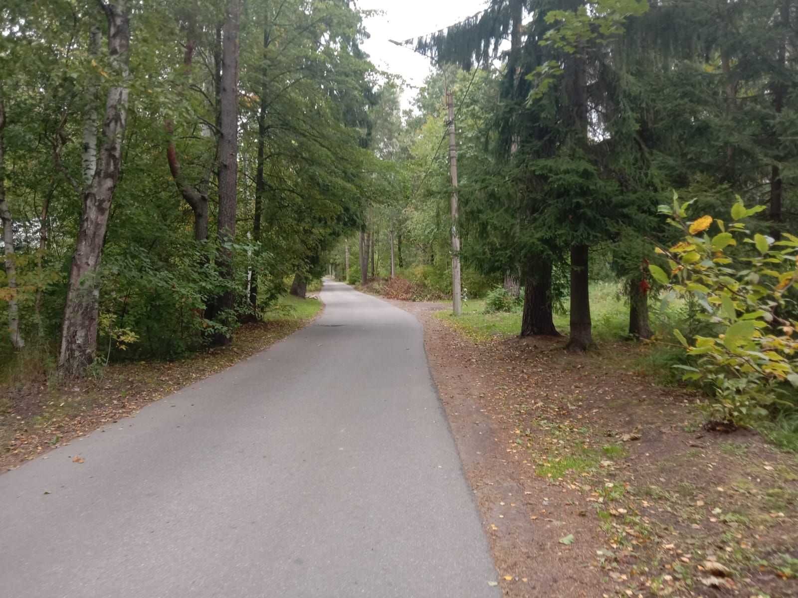 Купить Участок В Курортном Районе Спб