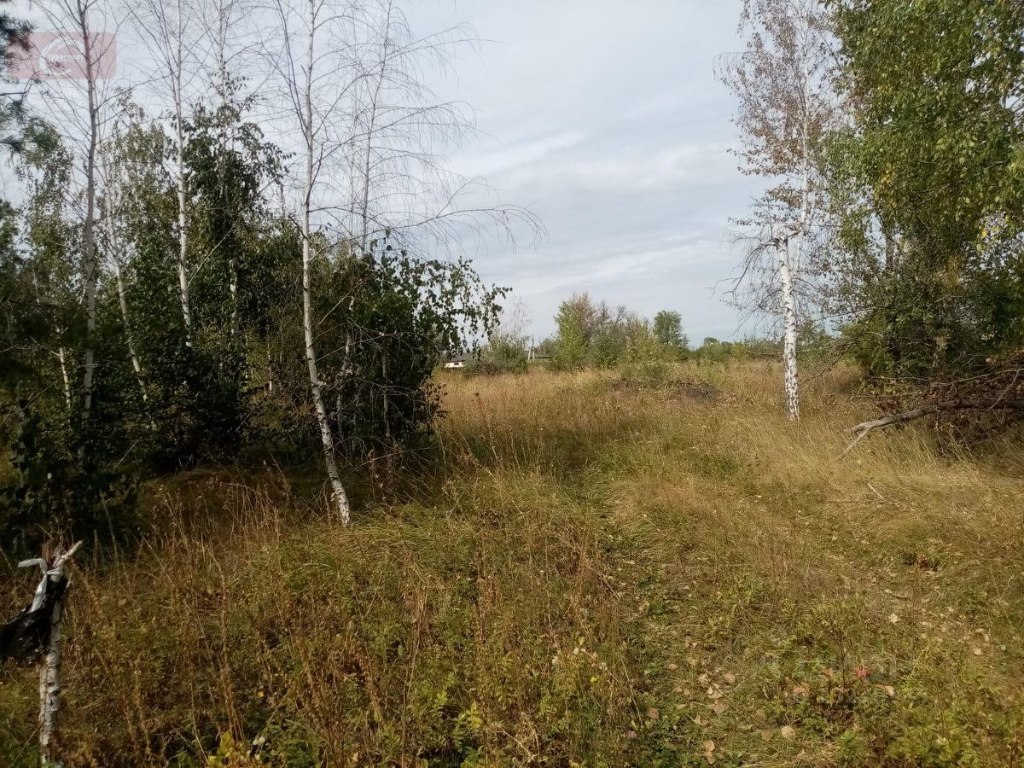 Купить недорого участок в поселке Подлесном в Верхнехавском районе в  Воронежской области — 31 объявление о продаже участков на МирКвартир с  ценами и фото