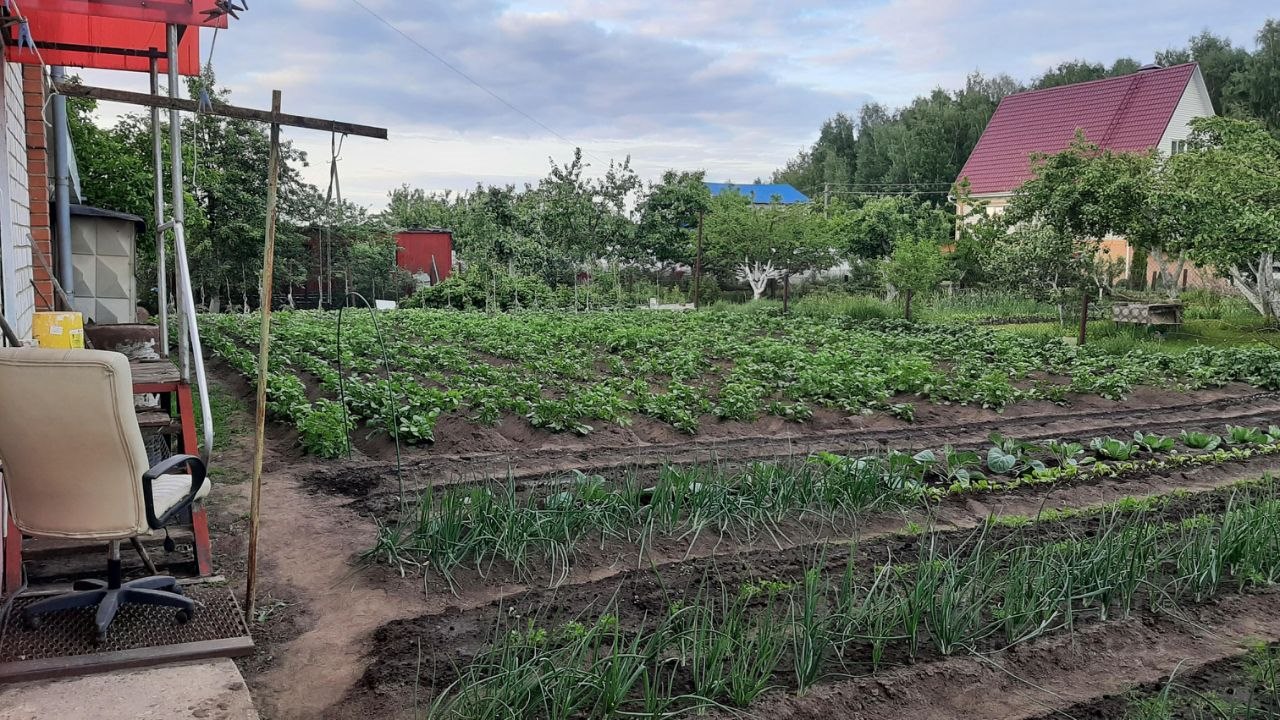 Купить дом в поселке Лесном в Орловском районе в Орловской области — 40  объявлений о продаже загородных домов на МирКвартир с ценами и фото