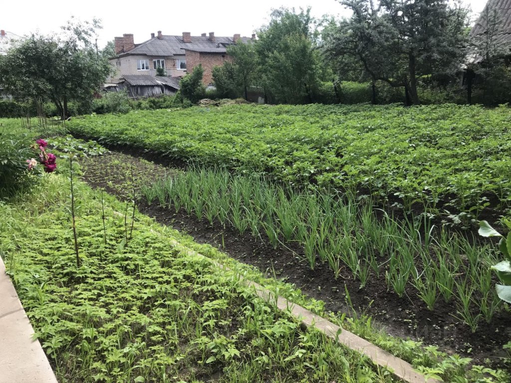 Купить дом в деревне Копытово в Локнянском районе в Псковской области — 20  объявлений о продаже загородных домов на МирКвартир с ценами и фото