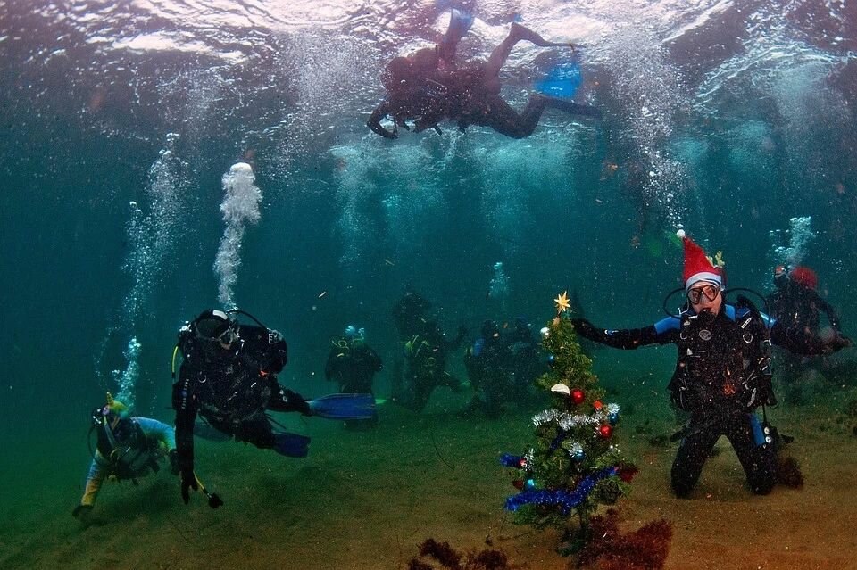 новогодняя елка под водой. затонувшие корабли дахаб. дайвинг олюдениз турция. скуба дайвинг. подводный риф марса алам.