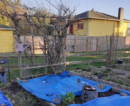 Почти дачные домики на берегу Тихого океана в Западном Ванкувере.