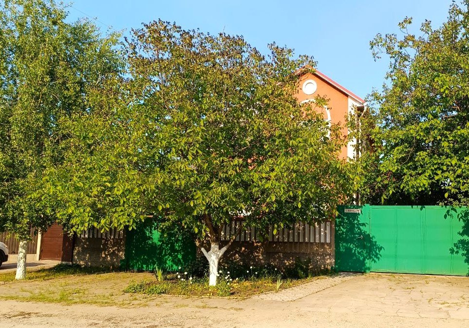Чтобы спилить дерево за пределами участка, нужно получить порубочный билет. Фото автора