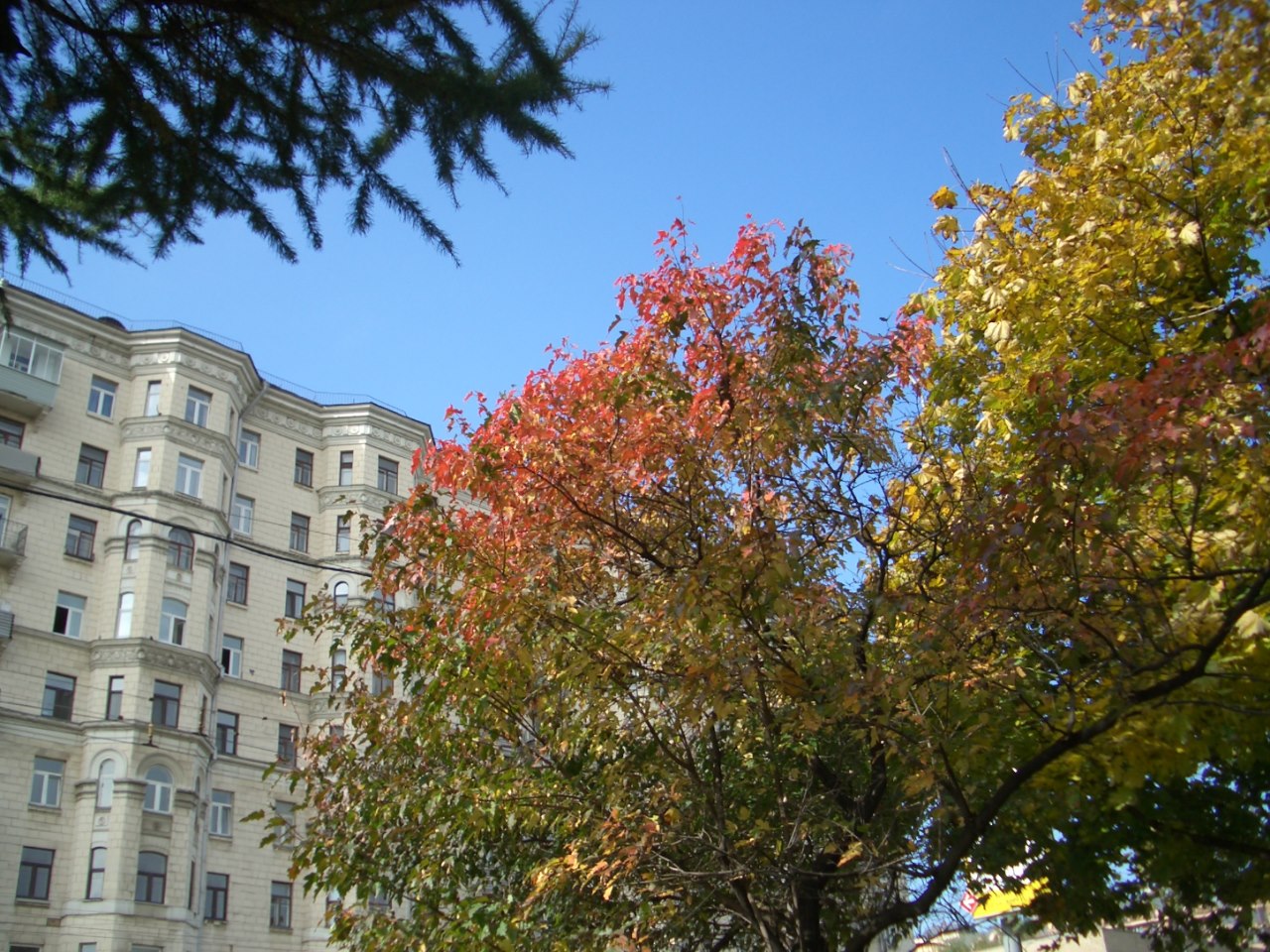 Фото: Мир квартир